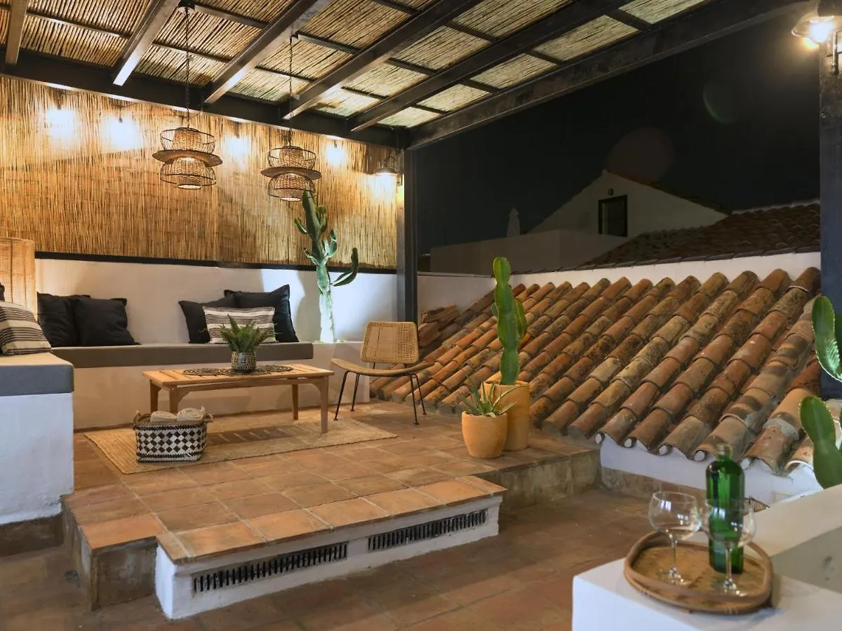 Old City Center Penthouse Malaga