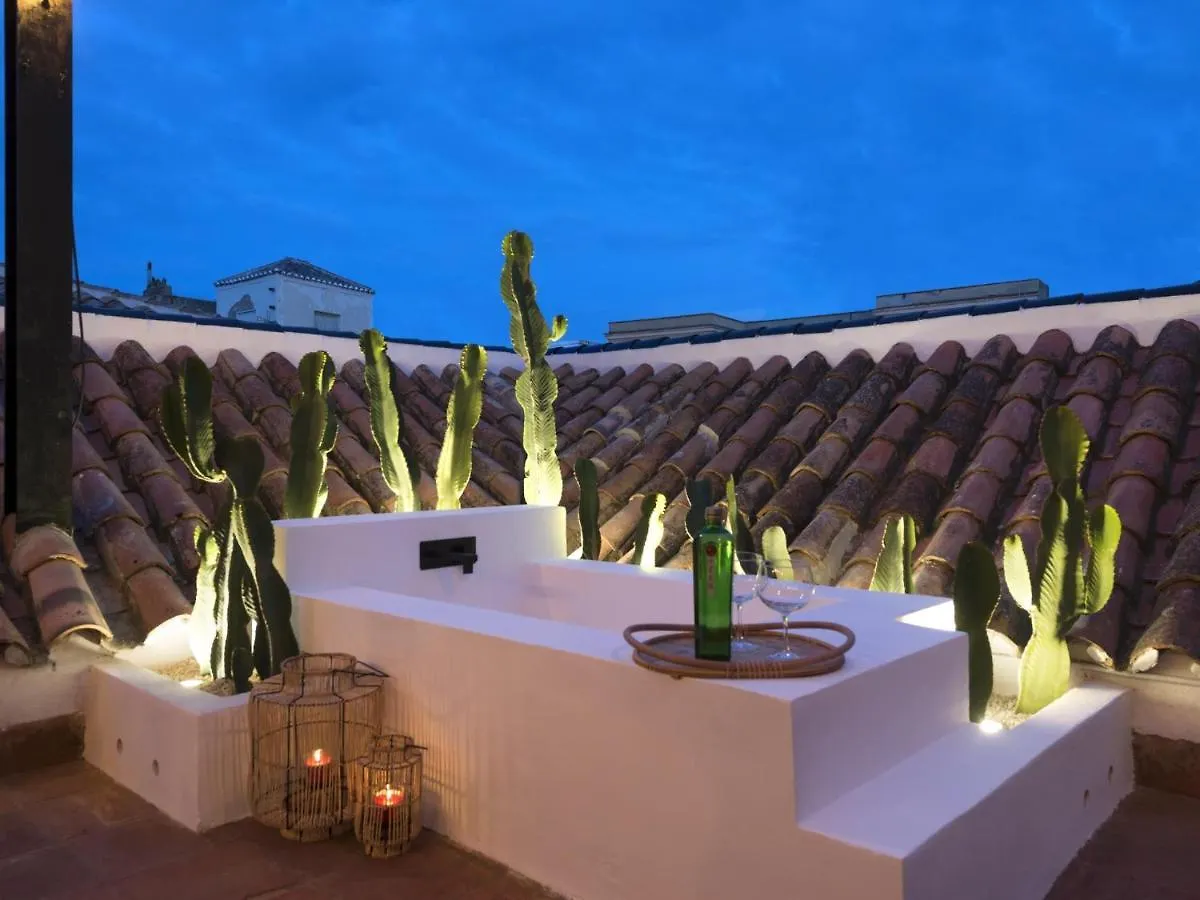 Old City Center Penthouse 马拉加 公寓