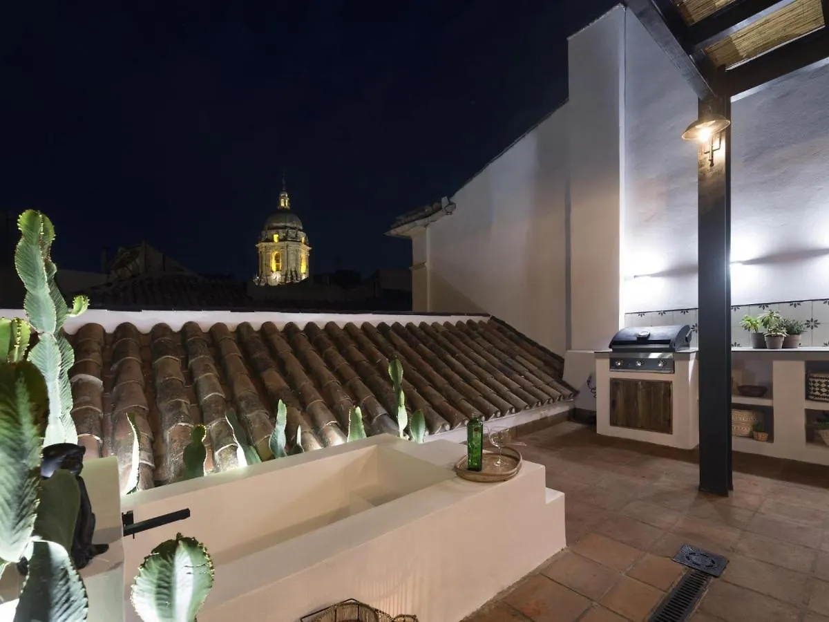 Old City Center Penthouse 马拉加