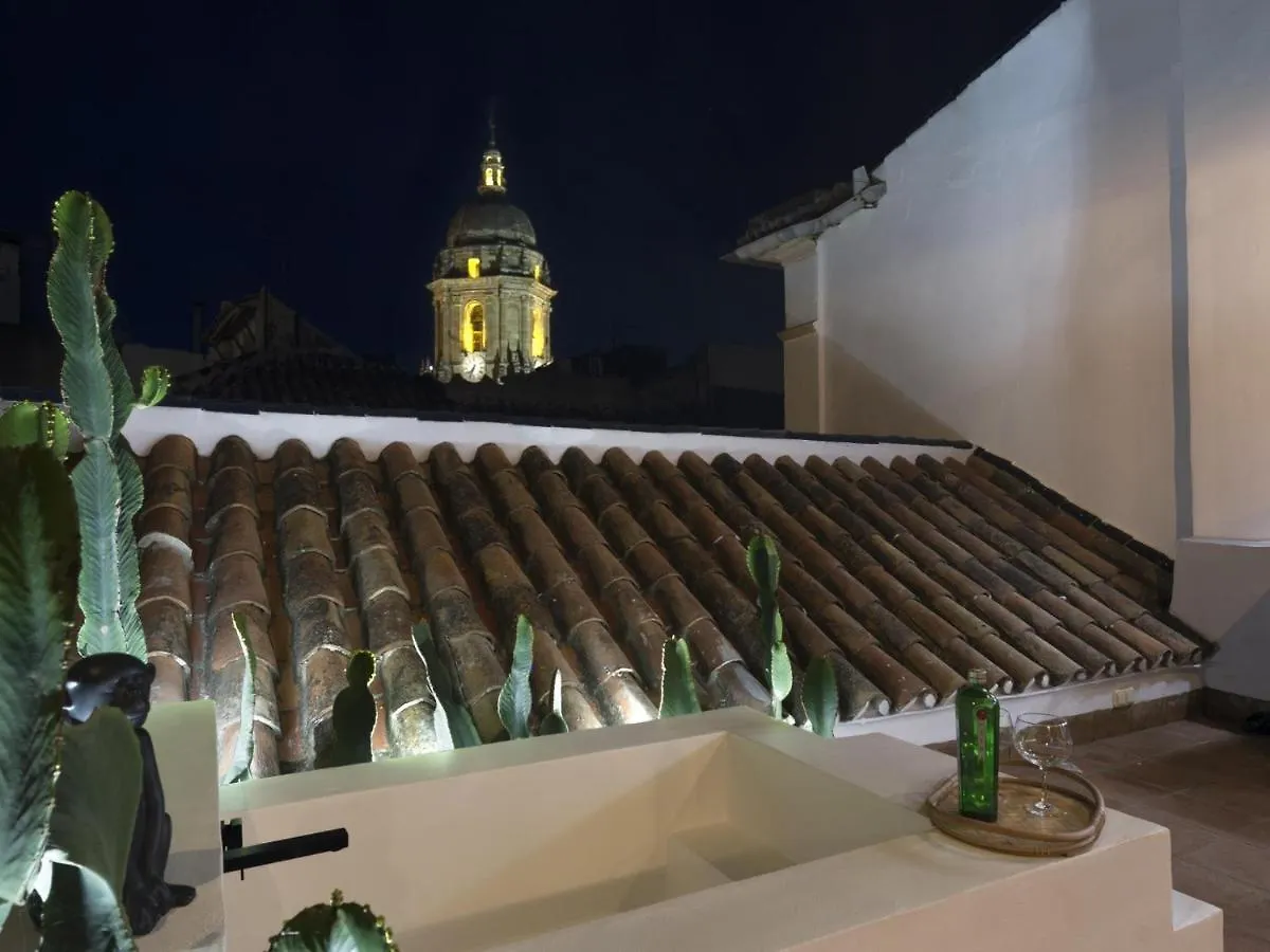 公寓 Old City Center Penthouse 马拉加