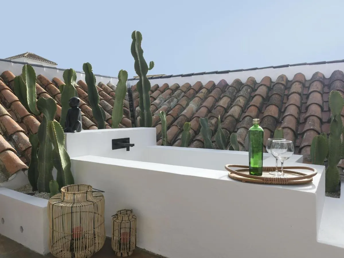 Old City Center Penthouse 马拉加 公寓